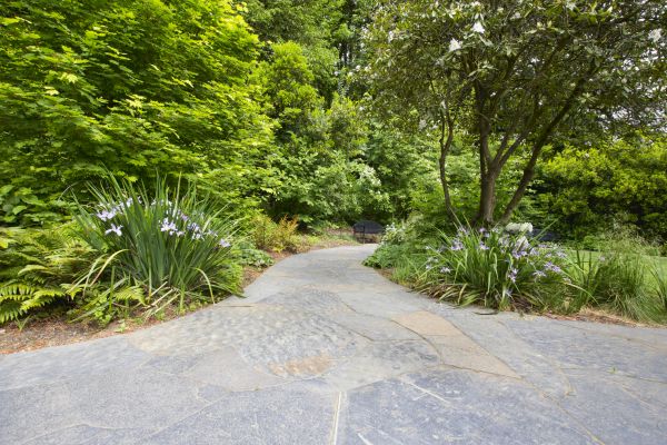 Stone Hardscape Service in Ypsilanti